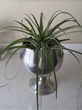 Vintage Silver Plate Chalice Large Made in Spain